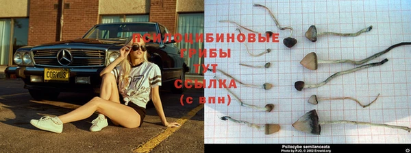 экстази Волоколамск