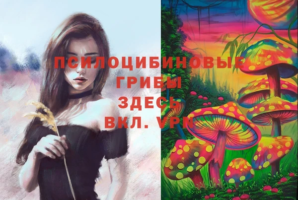 МДПВ Богородск