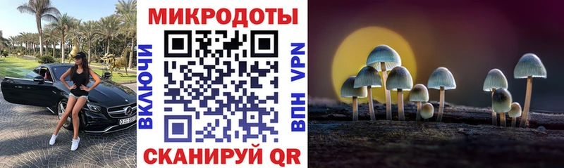 Псилоцибиновые грибы Psilocybine cubensis закладка Зубцов